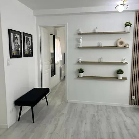 Beau Duplex Au Centre Ville. *